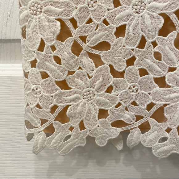 Ann Taylor LOFT Lace Dress - Picture 8 of 12